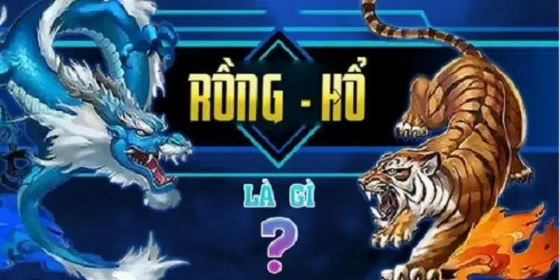 Khám phá trò chơi rồng hổ tại BK8 và cách tham gia